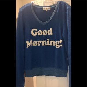 WILDFOX blue vneck sweatshirt